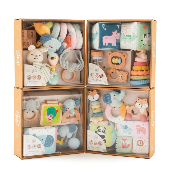 BabyBox — First Year Play Kits (0–12 Months) - Goodevas