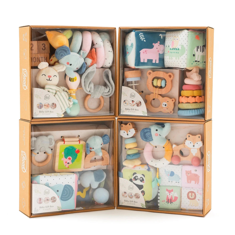 BabyBox — First Year Play Kits (0–12 Months) - Goodevas